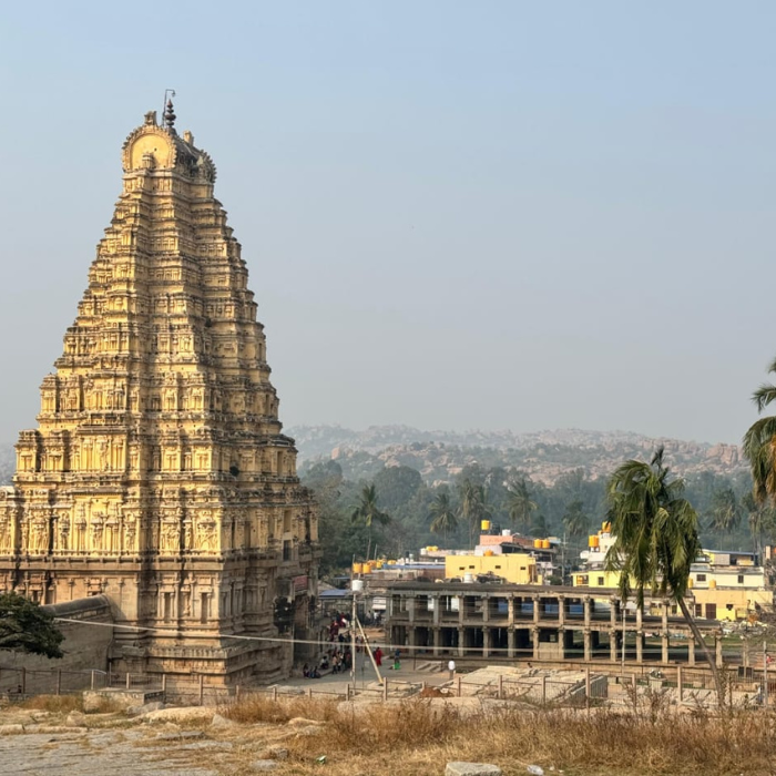 untitled design (13)