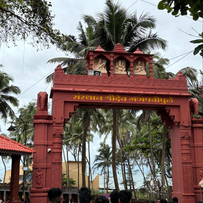 untitled design (15)