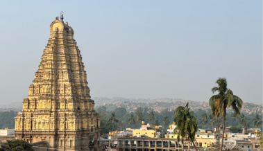 untitled design (18)